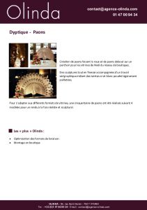 Paons d�coratifs des vitrines Diptyque