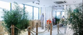 Showroom terrasse Fa&ccedil;onnable