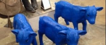 Chevreaux d�coratifs IKKS