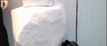 Rochers sculpt&eacute;s Kenzo