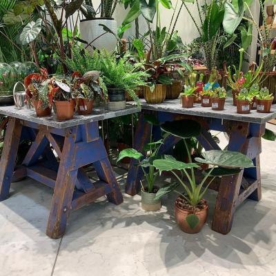 Dcoration dune Jardinerie pour Valoriser les Plantes